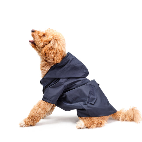 FONTEBRANDA BLUE | Yağmurluk